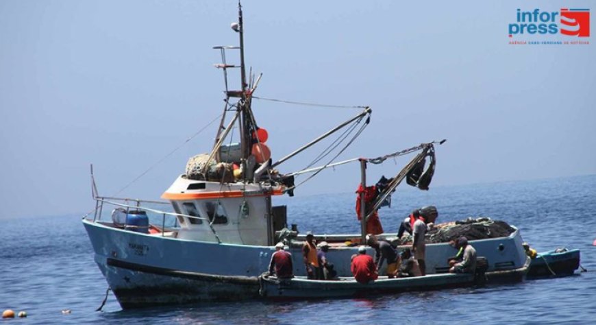 Coordenador do projecto Reduce alerta para a necessidade de monitorar impactos da pesca industrial