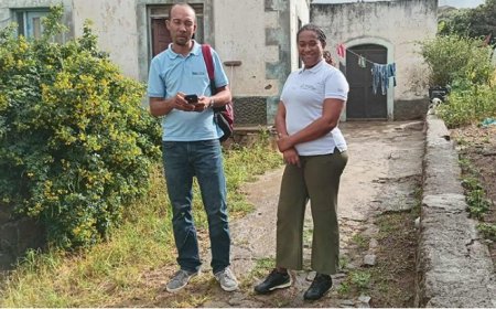 Brava: ME delegation in Brava carries out mapping of children and adolescents outside the education system