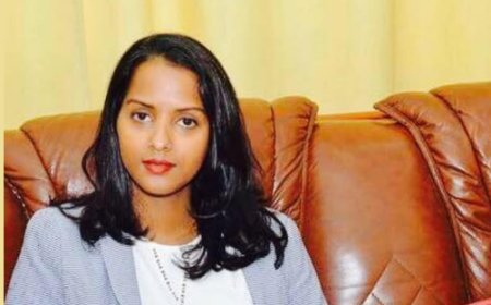 Political representation in Cape Verde, between Mirceas and Damiões, the Parliament we have and the Parliament we could have