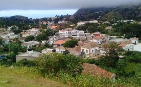 Brava with no record of mosquito vectors this year "thanks to prevention actions on the ground"