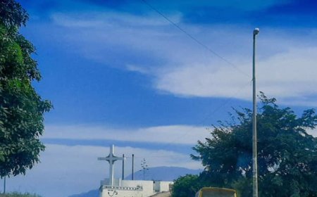 Internal report reveals suspicions of illegalities and irregularities in the Brava City Council (2020-2024)