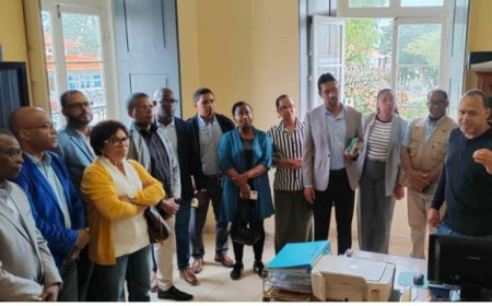 PAICV accuses government of abandoning Brava island