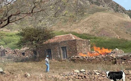 Incêndio no Monte Vermelho Foi Controlado por Cidadãos em Cachaço