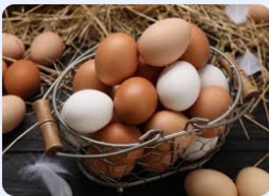 Como é possível a Brava não ter ovos? Dependência da ligação marítima levanta debate sobre produção local