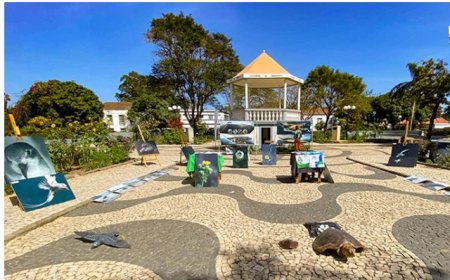 Brava: Projecto Vitó promove exposição sobre biodiversidade do Fogo e Brava