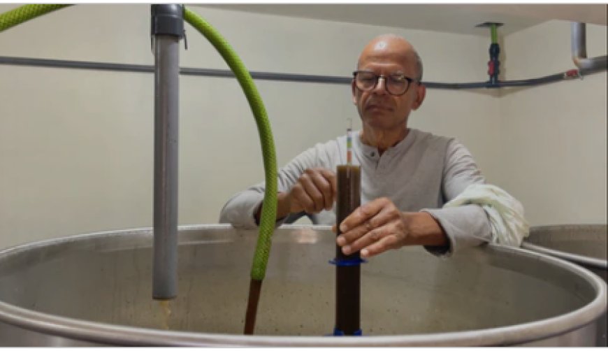 Sugar cane pressing is a key stage in the production of JBEY grog