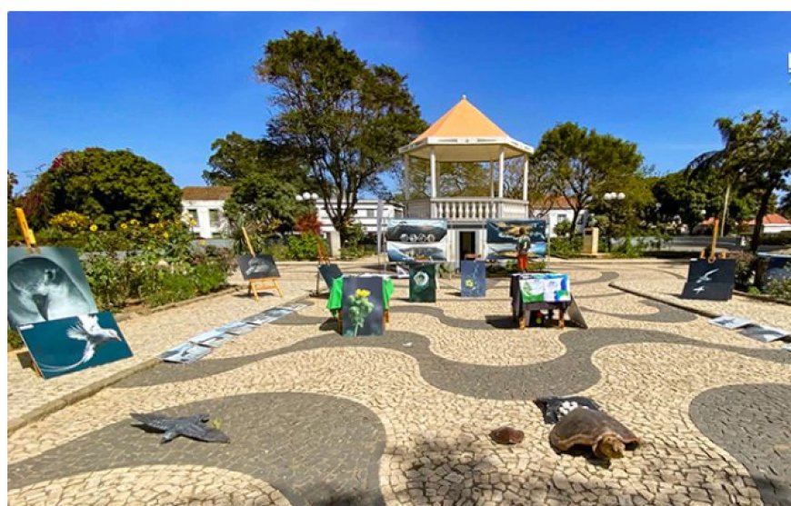 Brava: Projecto Vitó promove exposição sobre biodiversidade do Fogo e Brava