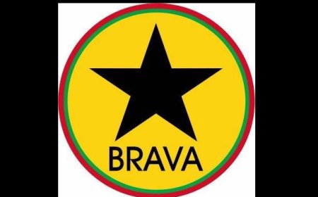 PAICV/Brava accuses government of electioneering after government delegation's visit to the island