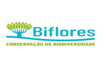 Brava: Biflores Association in the final phase of a project to restructure the livestock sector.