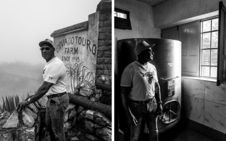 Among the clouds of Brava, Cova do Touro is born at the forefront of the island's brandy industry