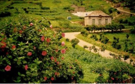 População da localidade do Mato reclama por recuperação das estradas e mais investimentos na formação de jovens