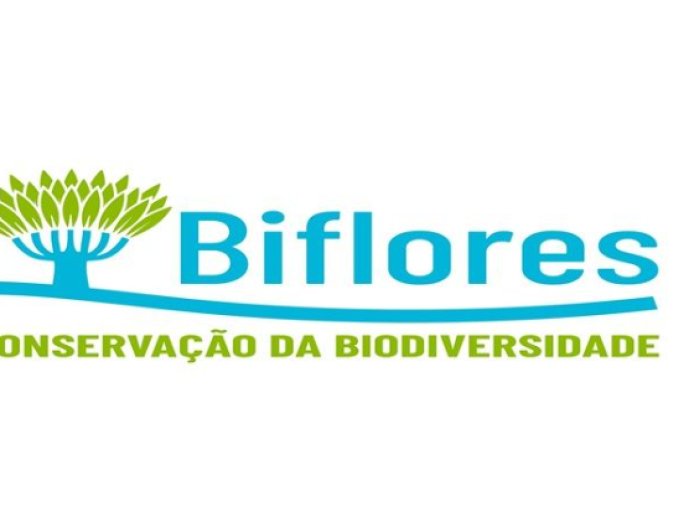 Brava: Associação Biflores na fase final de projecto de reestruturação do sector da pecuária