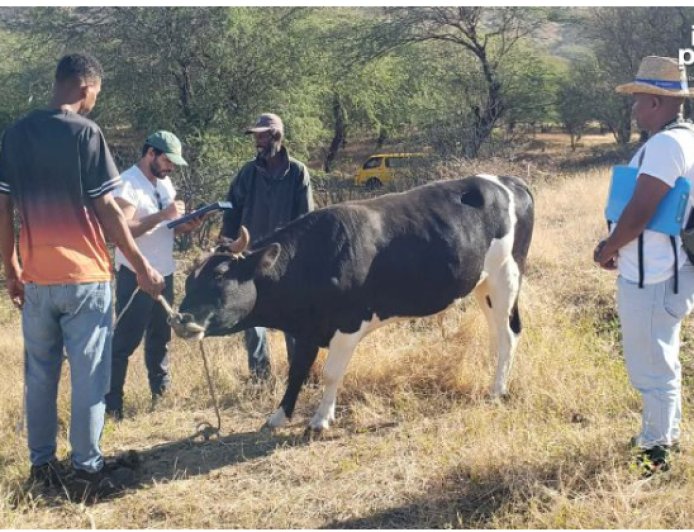 Brave: Veterinary campaign evaluates 65 producers and collects samples from 230 animals.