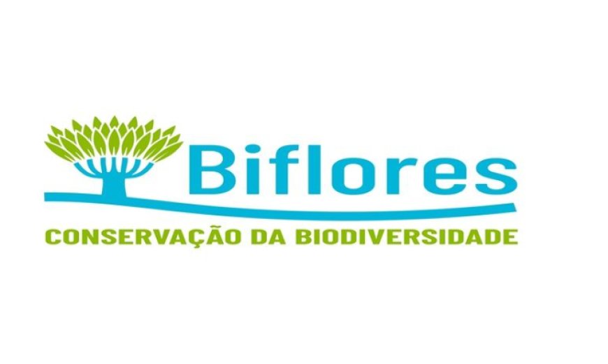 Brava: Associação Biflores na fase final de projecto de reestruturação do sector da pecuária
