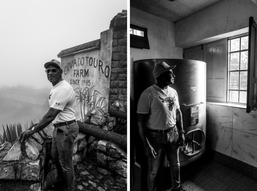 Among the clouds of Brava, Cova do Touro is born at the forefront of the island's brandy industry