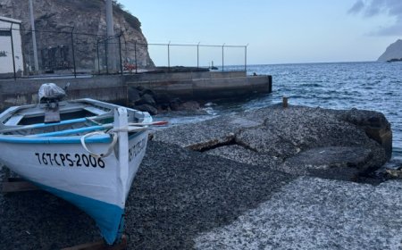 A Brava beyond electoral promises and the portrait of a nine-speed country - The fisheries sector