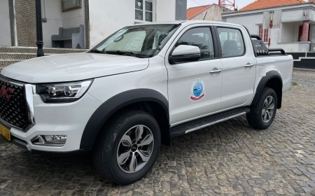 Francisco Tavares criticizes Amândio Brito's management for "hiding" government support for the purchase of a car