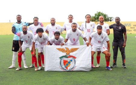 Cabeça Erguida, Benfica! A Brava Continua Convosco