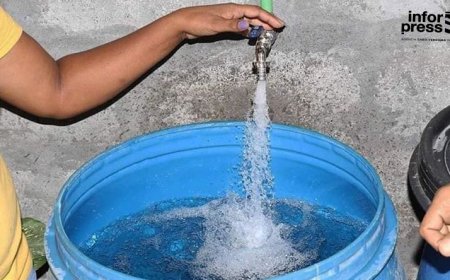 Brava: Biologist warns of problems with water quantity and quality on the island.