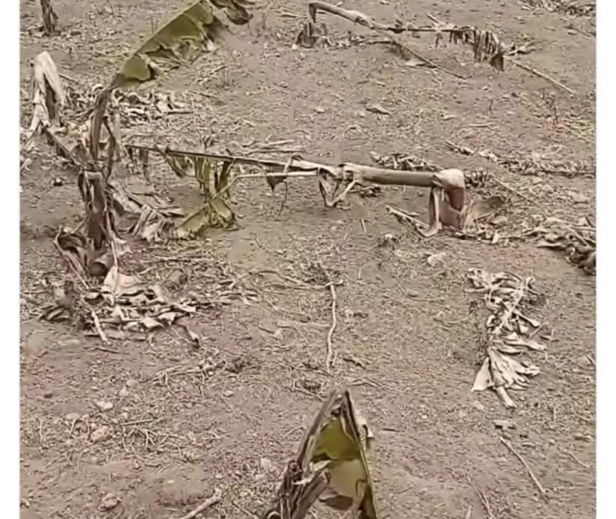 Brava: A desgraçada dificuldade em estabelecer prioridades orçamentais e o claro abandono dos sectores produtivos
