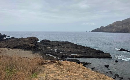 The State of the Nation on Brava Island, the Unnerving Silence of Oblivion, and the Urgency of Dignity