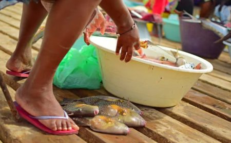 According to a report by The Borgen Project, the gender pay gap continues to be a challenge for Cape Verde