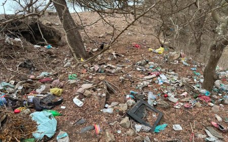 The Brava City Council warns of an increase in improper waste disposal and calls on the entire community to act responsibly