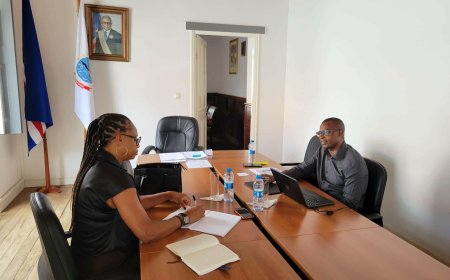 Member of Parliament Maria Antónia Alves pays a working visit to the President of the CMB, Amandio Brito.