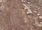 Parents and guardians in Cachaço fear for their children’s safety due to the poor condition of the road to Nossa Senhora do Monte