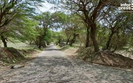 Brava: Condutores e moradores exigem intervenção urgente na estrada de acesso a Cachaço