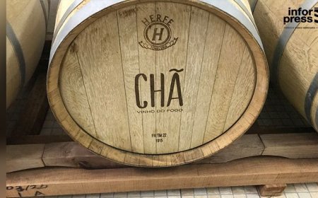 Fogo: Adega Cooperativa de Chã das Caldeiras conquista três medalhas no Mundial dos Vinhos Extremos