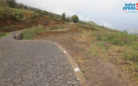 Fire/Accident: Engineer of Cape Verdean descent in the US volunteers to improve road safety.