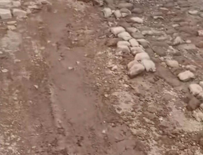 Pais e encarregados de educação de Cachaço temem pela segurança dos filhos devido ao mau estado da estrada para Nossa Senhora do Monte