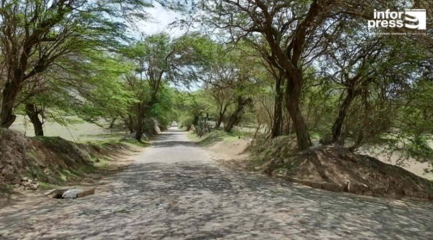 Brava: Condutores e moradores exigem intervenção urgente na estrada de acesso a Cachaço