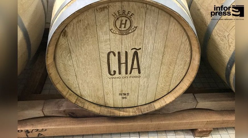 Fogo: The Chã das Caldeiras Cooperative Winery Wins Three Medals at the World Extreme Wines Competition