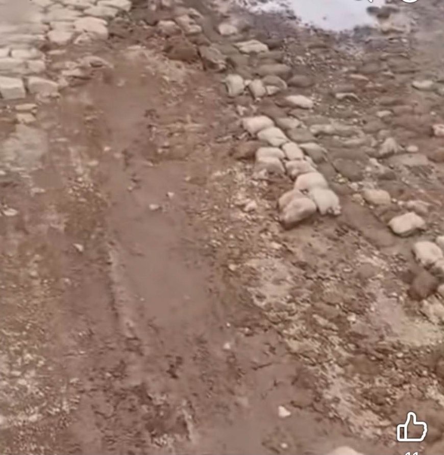 Pais e encarregados de educação de Cachaço temem pela segurança dos filhos devido ao mau estado da estrada para Nossa Senhora do Monte