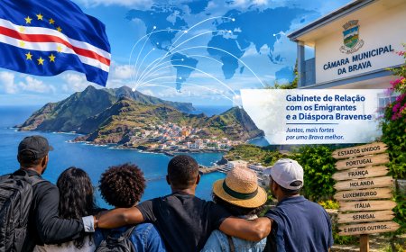 Brava needs to build a strong connection with its diaspora community
