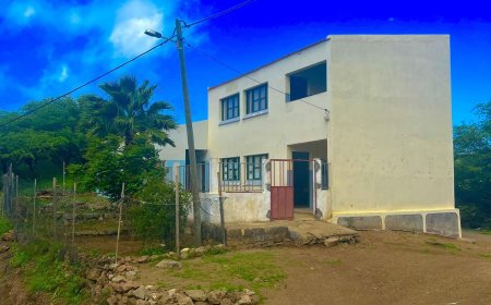 Brava: Allegations of favoritism and possible nepotism raise questions about the appointment of a teacher at the Palhal School