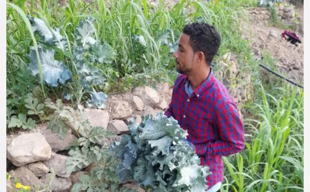 Anildo Lobo, o jovem empreendedor de Lomba Tantum que aposta na agricultura, pesca, produção de aguardente e turismo na Brava
