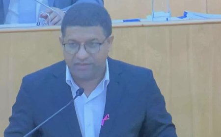 Alberto Rodrigues exige maior integração da diáspora e elogia impacto da visita do Governo aos EUA