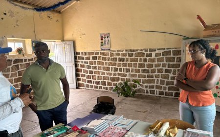 Escola Básica de Nossa Senhora do Monte agradece apoio da BRAVA UNIDOS ao bem-estar dos alunos