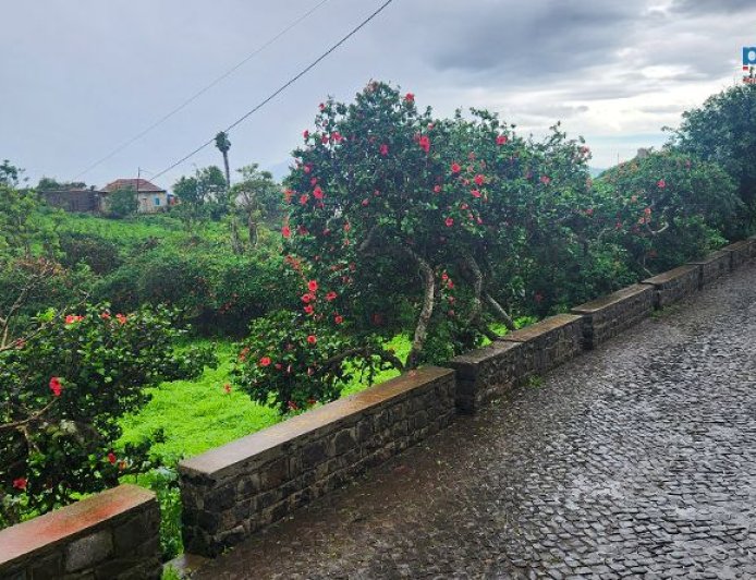 Brava: Moderate rain leads to the suspension of classes due to weather conditions