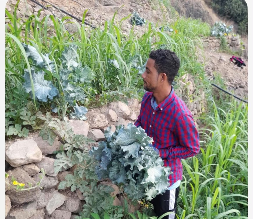 Anildo Lobo, o jovem empreendedor de Lomba Tantum que aposta na agricultura, pesca, produção de aguardente e turismo na Brava