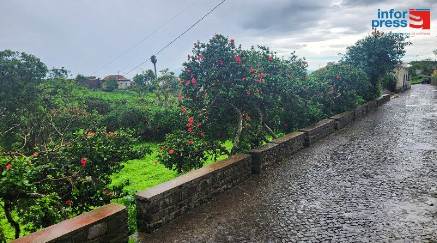 Brava: Moderate rain leads to the suspension of classes due to weather conditions